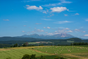 牧草畑と夏の山並み