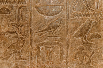 Ancient egyptian hieroglyphs carved on the stone wall