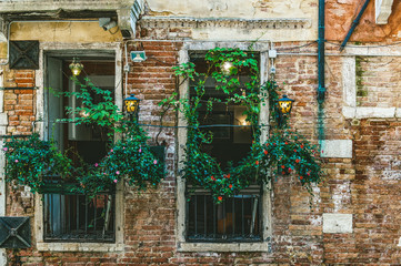Beautiful view of the cafe windows, decorated with vertically growing plants in Venice on the canal. Ancient brick wall. Beautiful retro look