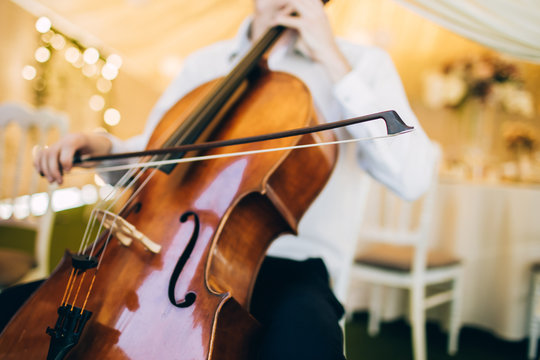 The music quartet plays at the wedding. String Quartet. The actor performs at a party. musical instrument.