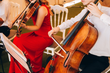 The music quartet plays at the wedding. String Quartet. The actor performs at a party. musical...