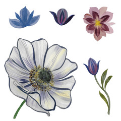 A set of flowers. Watercolor colorful flowers on a white background. Hand draw watercolor illustration. Floral Design elements. Botanical clipart.