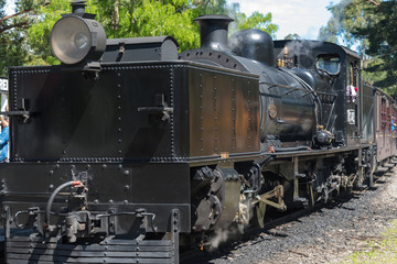 Fototapeta na wymiar Old Steam train in Dangdenong moutain