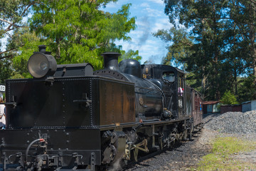 Fototapeta na wymiar Old Steam train in Dangdenong moutain