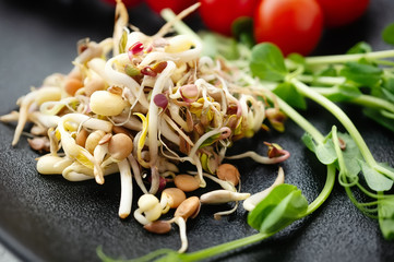 Salad of sprouted bean seeds and flax with avocado. The concept of macrobiotic food
