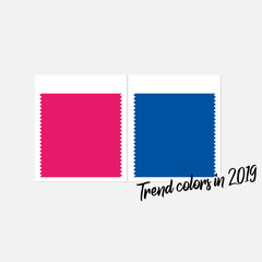 Spring Summer 2019 Color trends. Color swatch for designer - flat vector design.  Colour palette - Trend Color Code  Pink Peacock and Princess Blue