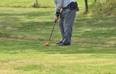 マレットゴルフ