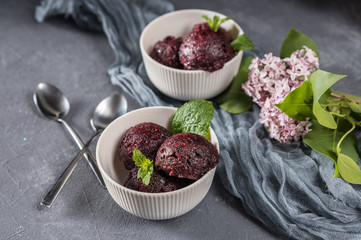 Organic berry sorbet on rustic background