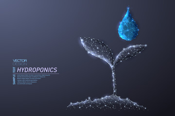 Abstract polygonal light design of growing sprout and clean water drop
