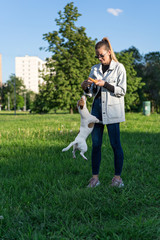 Fototapeta premium young white girl in denim suit playing with a pet dog jack russell terrier outdoors on the grass