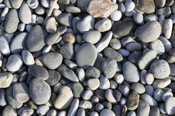 Sea stones background of the many beautiful colored stones