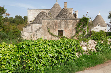 Antica masseria - Alberobello