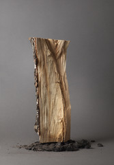 The beauty of a dead tree