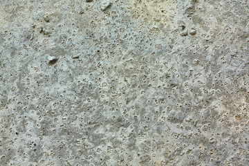 Rough Porous Concrete Wall Texture Background Grey