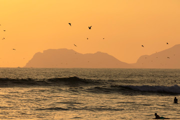 Silhouette of surfers and seagulls against the backdrop of the setting sun over the coastline of the Pacific Ocean. Lima. Peru. Soft focus
