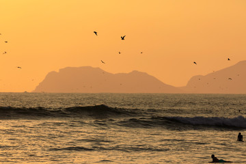Fototapeta premium Silhouette of surfers and seagulls against the backdrop of the setting sun over the coastline of the Pacific Ocean. Lima. Peru. Soft focus
