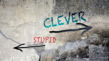Wall Graffiti Clever versus Stupid