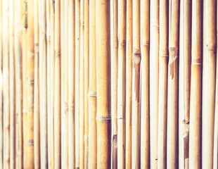 Bamboo background texture with copy space for text.