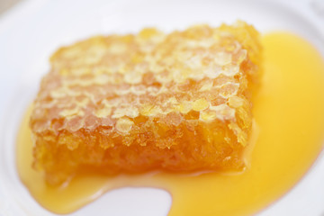 Bienenwabe