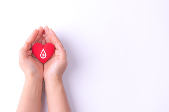 Woman Hands Holding Red Heart For Blood Donation,world Blood Donor Day. Copy Space For Advertisers.