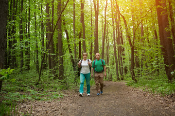 Obraz premium Description