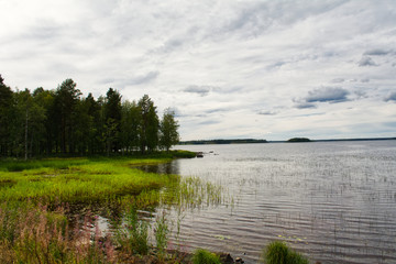 Wald und Fjord in Skandinavien