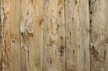 Wall of the barn, made of slab. Pine boards are tightly fitted to each other.