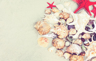 Seashells and red seastars on the sand, summer beach background with copy space for text.