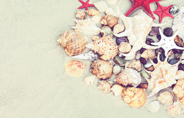 Fototapeta na wymiar Seashells and red seastars on the sand, summer beach background with copy space for text.