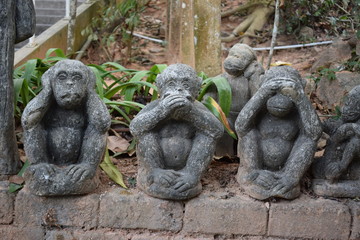 Fototapeta na wymiar Mizaru, Kikazaru, Iwazaru, trzy małpy