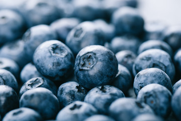 Fresh blueberry background. Texture blueberry berries close up. Vegan and vegetarian concept.
