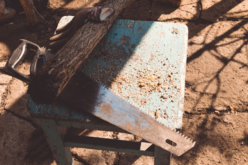 Gardener trimming hedge in garden with electric trimmer for hedge.