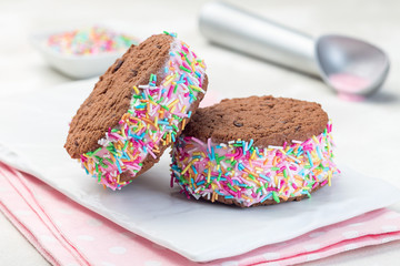 Homemade ice cream sandwich with chocolate chip cookie, watermelon ice cream, covered with colorful sprinkles, on white plate, horizontal