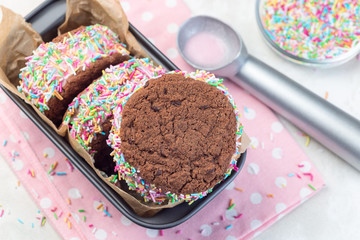 Homemade ice cream sandwich with chocolate chip cookie, watermelon ice cream and covered with colorful sprinkles, horizontal, top view