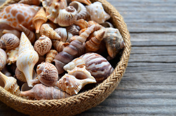 Collection of beautiful seashells in a basket on old wooden background. Summer beach vacation concept with copy space.Selective focus.