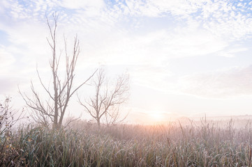 Dawn over the river on a summer morning, fog over the field, grass with hoarfrost