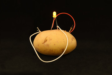 alternative energy electricity from potato