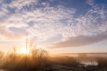 Fototapeta na wymiar Dawn over the river on a summer morning, fog over the field, grass with hoarfrost