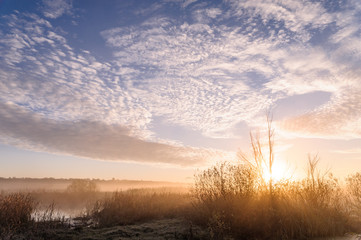 Fototapeta premium Dawn over the river on a summer morning, fog over the field, grass with hoarfrost
