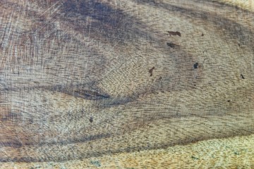 Wooden base of a tray (tatakan kayu/telenan) isolated on white background. Top up view close up details.