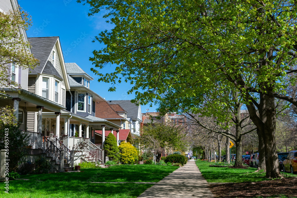 Wall mural row of old wood homes with grass in the north center neighborhood of chicago