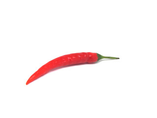 1 Chili pepper isolated on white background