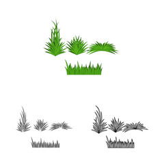 Fototapeta na wymiar Vector design of grass and bush icon. Set of grass and garden stock vector illustration.