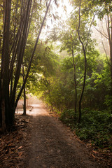 The country is in the early morning.Qionglai county, Chengdu city, Sichuan prov. China.