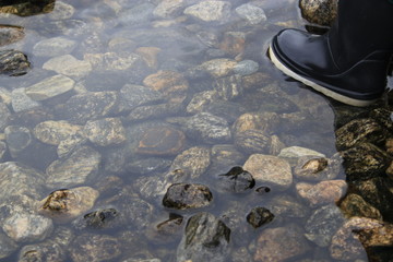 Life outdoors nature