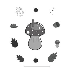 Set of forest elements: amanita, mushroom, worm, leaf, oak, acorn. Vector illustration in monochrome gray tones on an isolated background. 