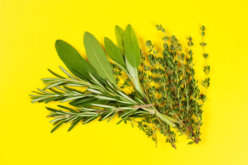 Collection of fresh herbs for cooking isolated on yellow background. Bunch of herbs