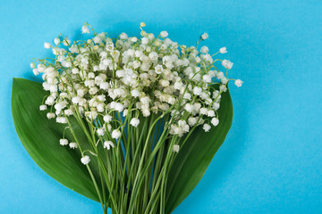 Bouquet of a lily of the valley on a pastel blue background. Top view.