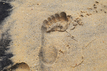 human Footprint on the sand.