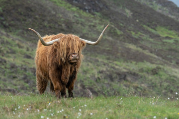 Schottland Isle of Skye